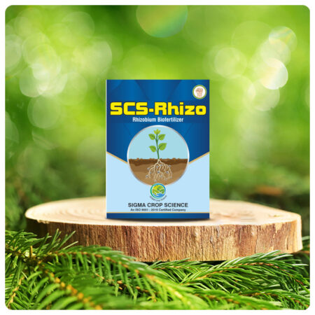 SCS-RhizO