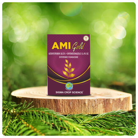 AMI GOLD