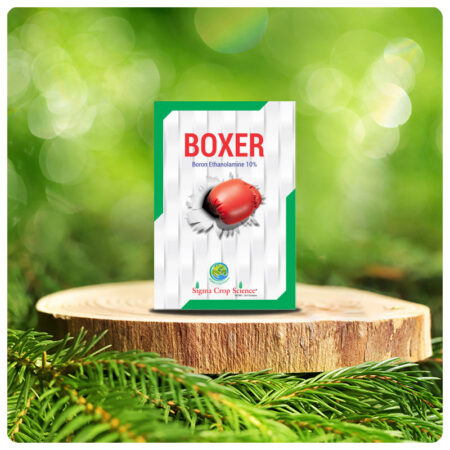 BOXER