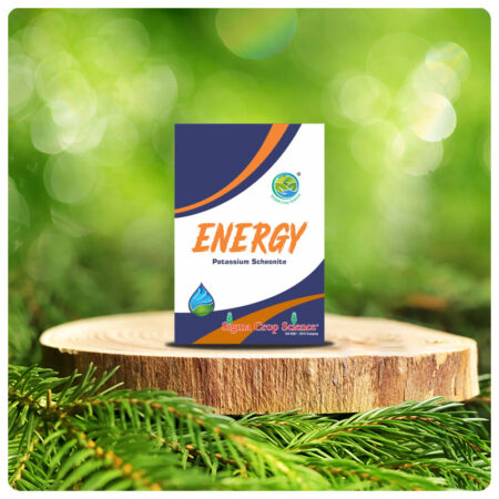 ENERGY