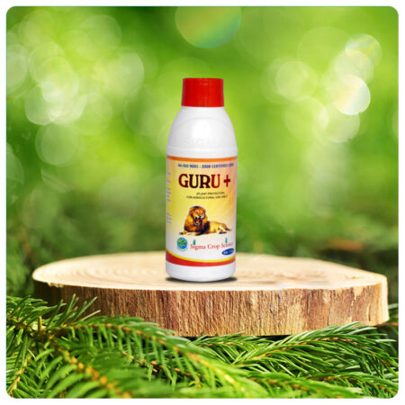 GURU +
