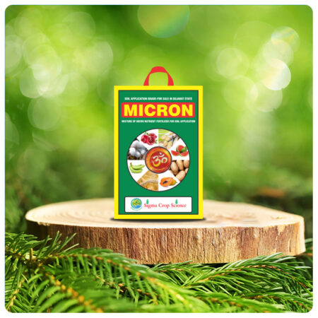 MICRON