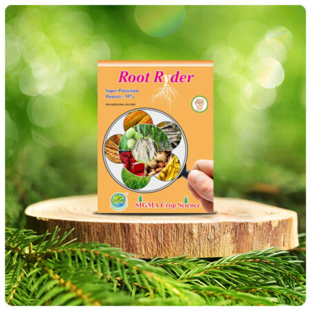 Root-Ryder