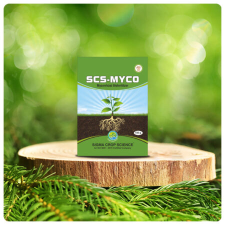 SCS-MYCO