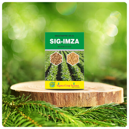 SIG-IMZA