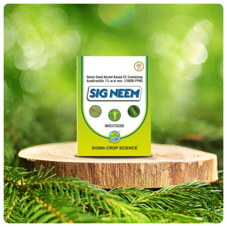SIG NEEM