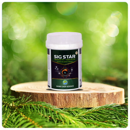 SIG STAR