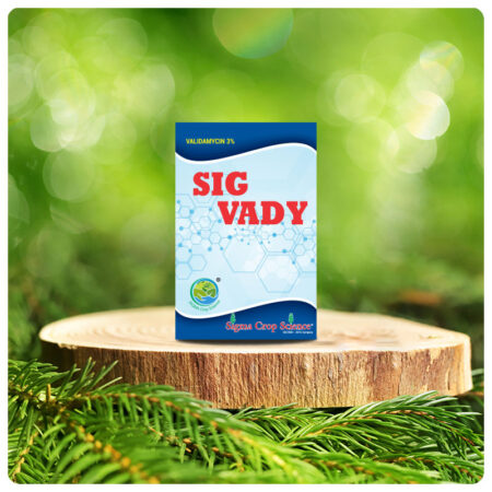 SIG-VADY