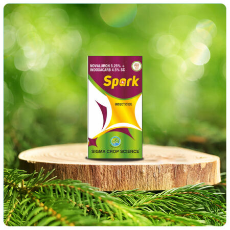 SPARK