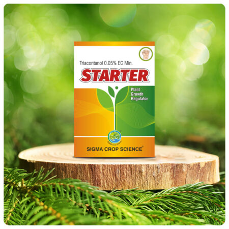 Starter