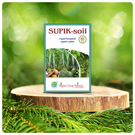 Supik-soil