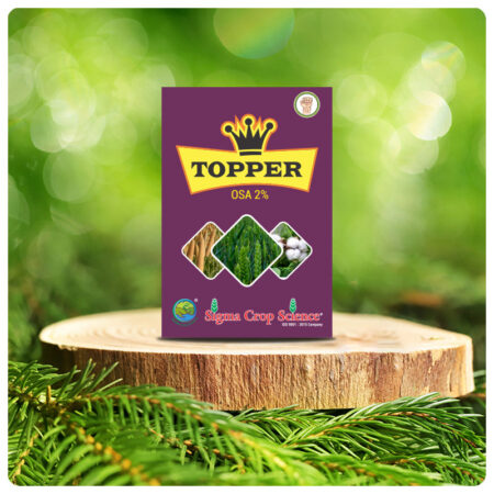 Topper