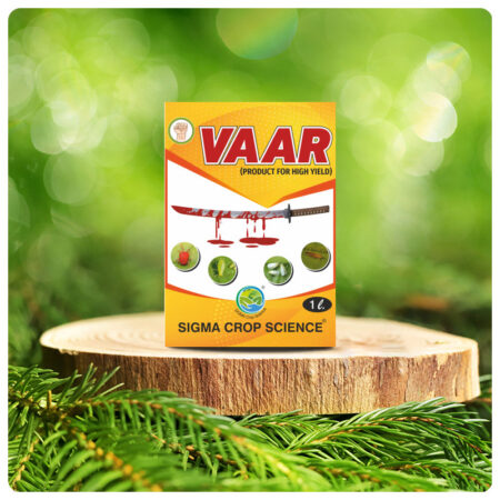 VAAR