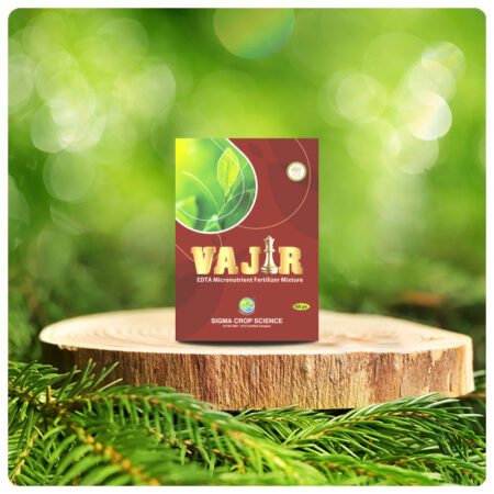 VAJIR POWDER
