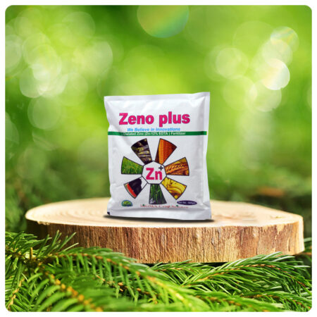 ZENO PLUS