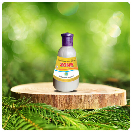 ZONE